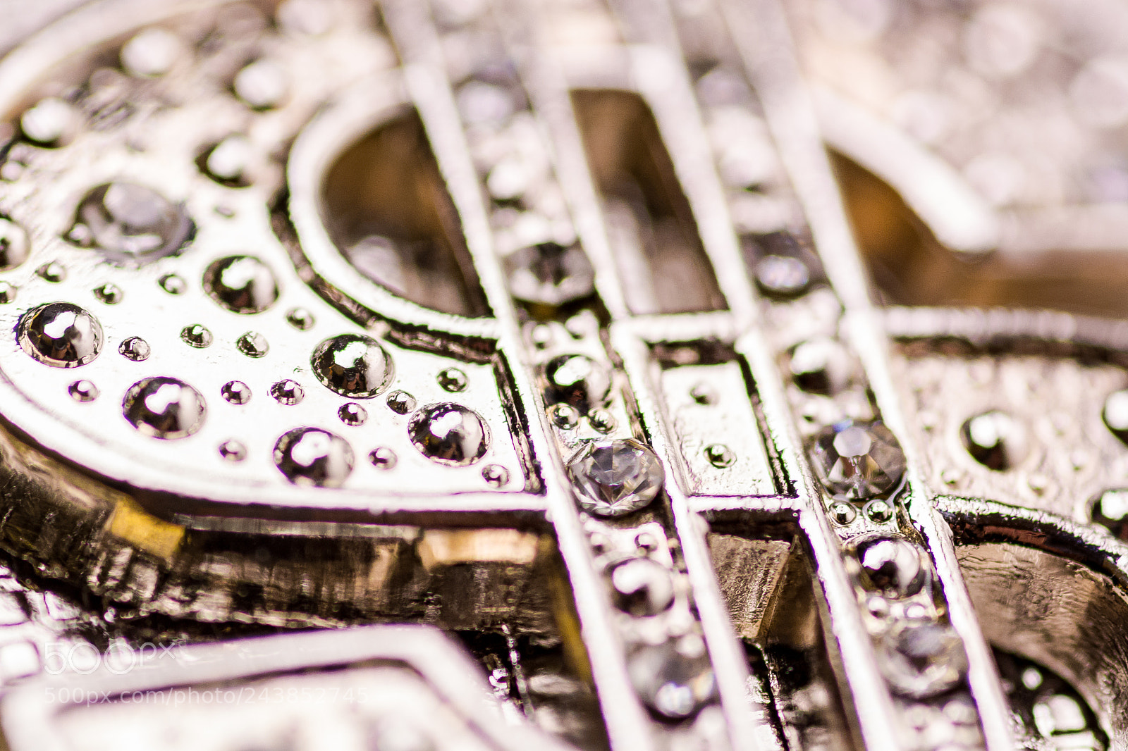 Nikon D7100 sample photo. Macro dollar signd photography