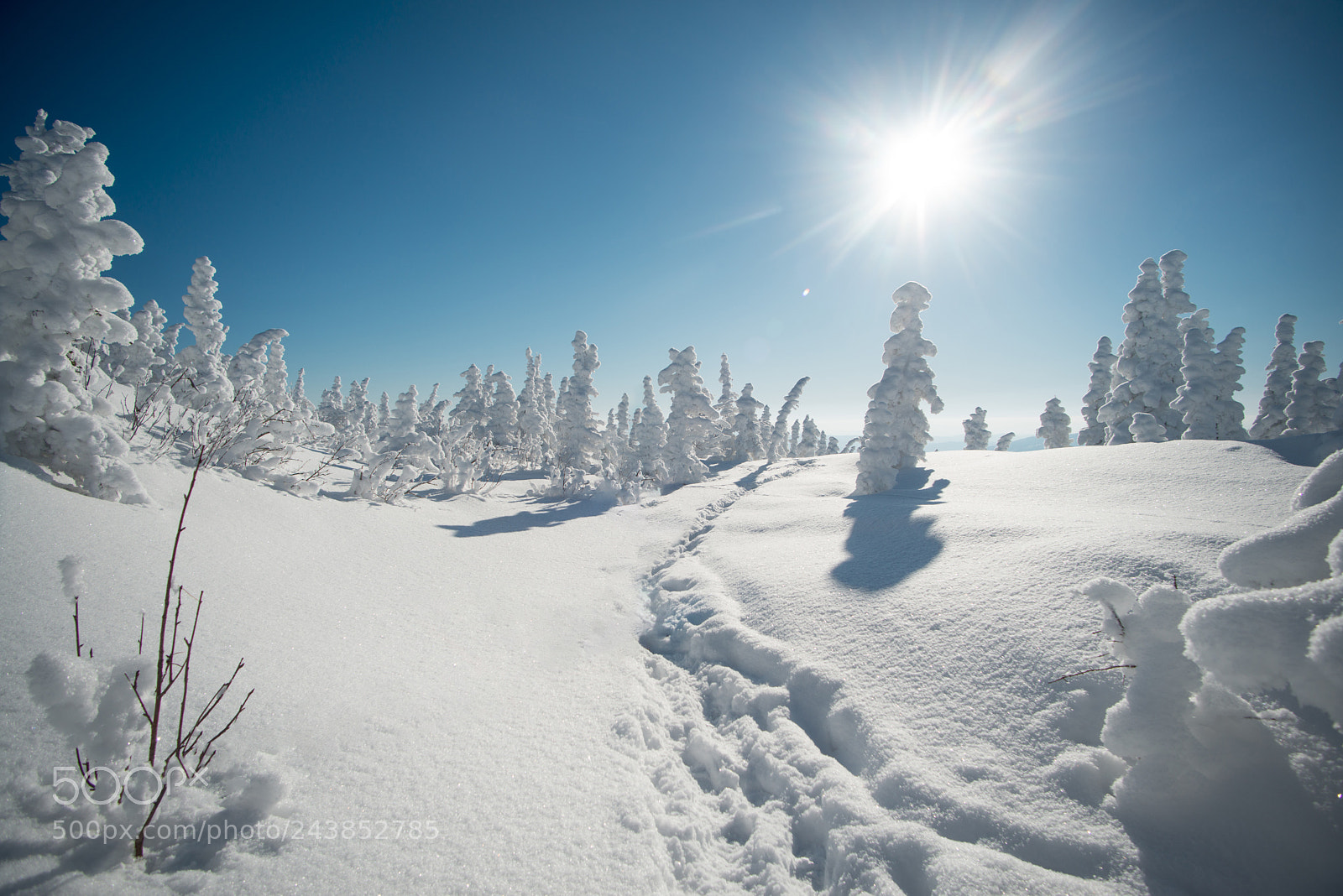 Nikon D800 sample photo. **720** photography
