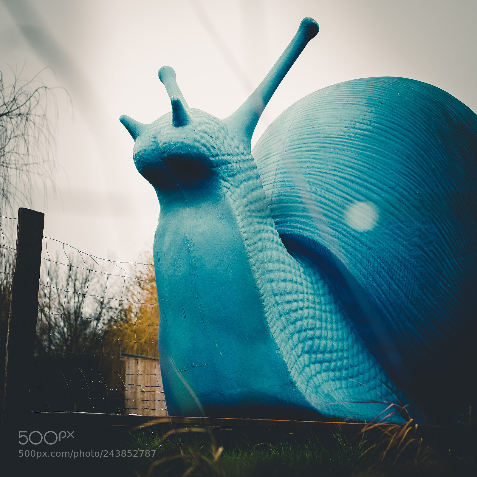 Fujifilm X-T2 sample photo. Giant snail in blue photography