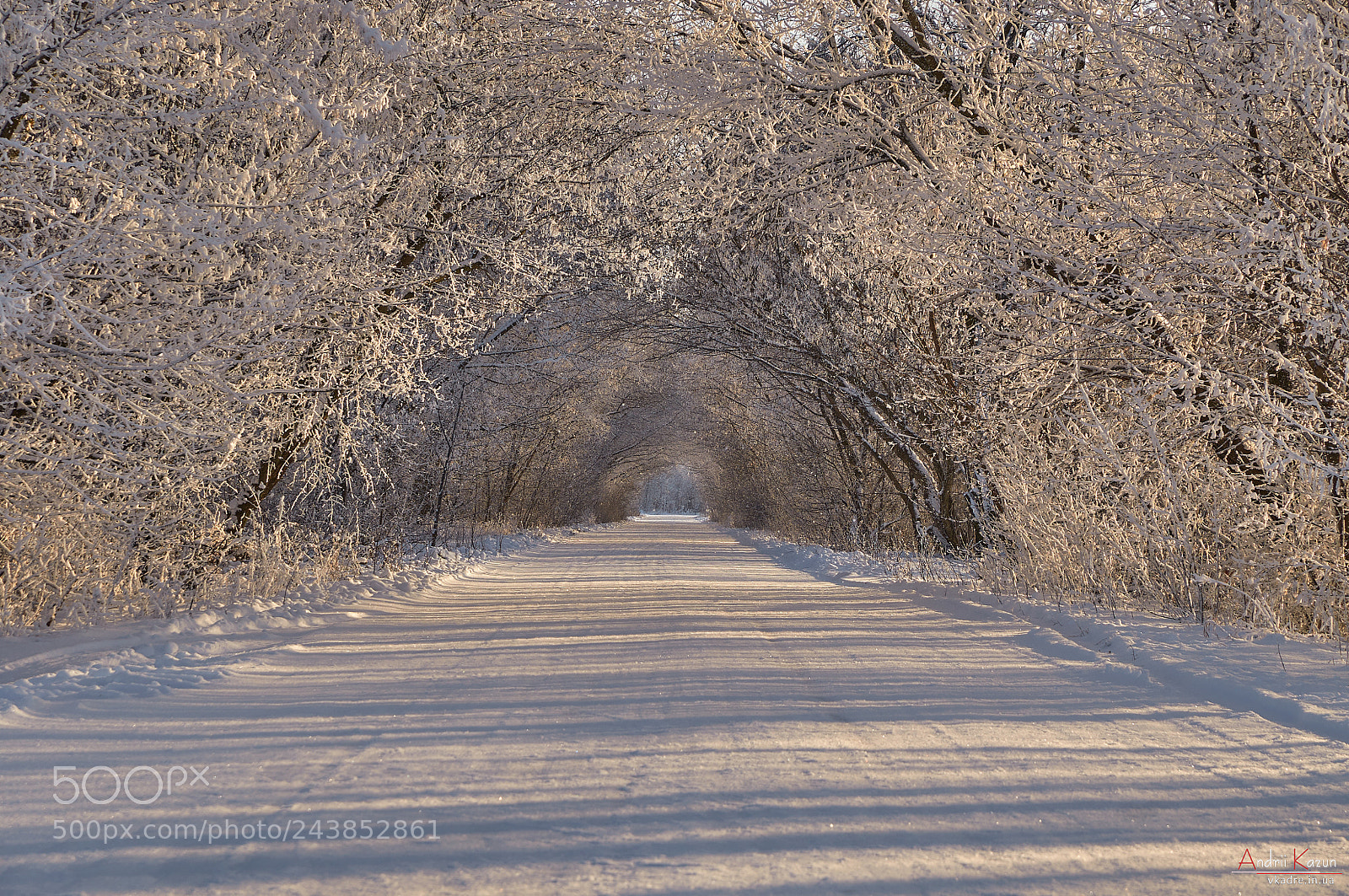 Nikon D300 sample photo. Winter snowy tunnel photography