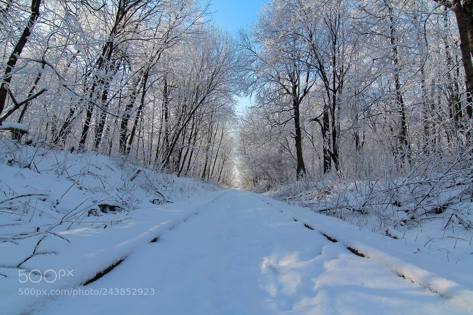 Canon EOS 60D sample photo. Winter railway photography