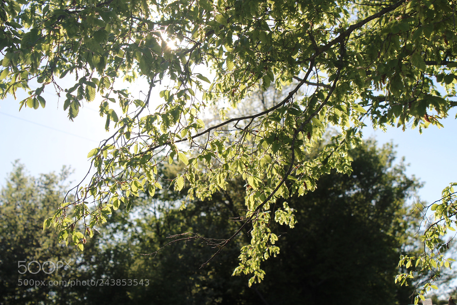 Canon EOS 1200D (EOS Rebel T5 / EOS Kiss X70 / EOS Hi) sample photo. Untitled photography