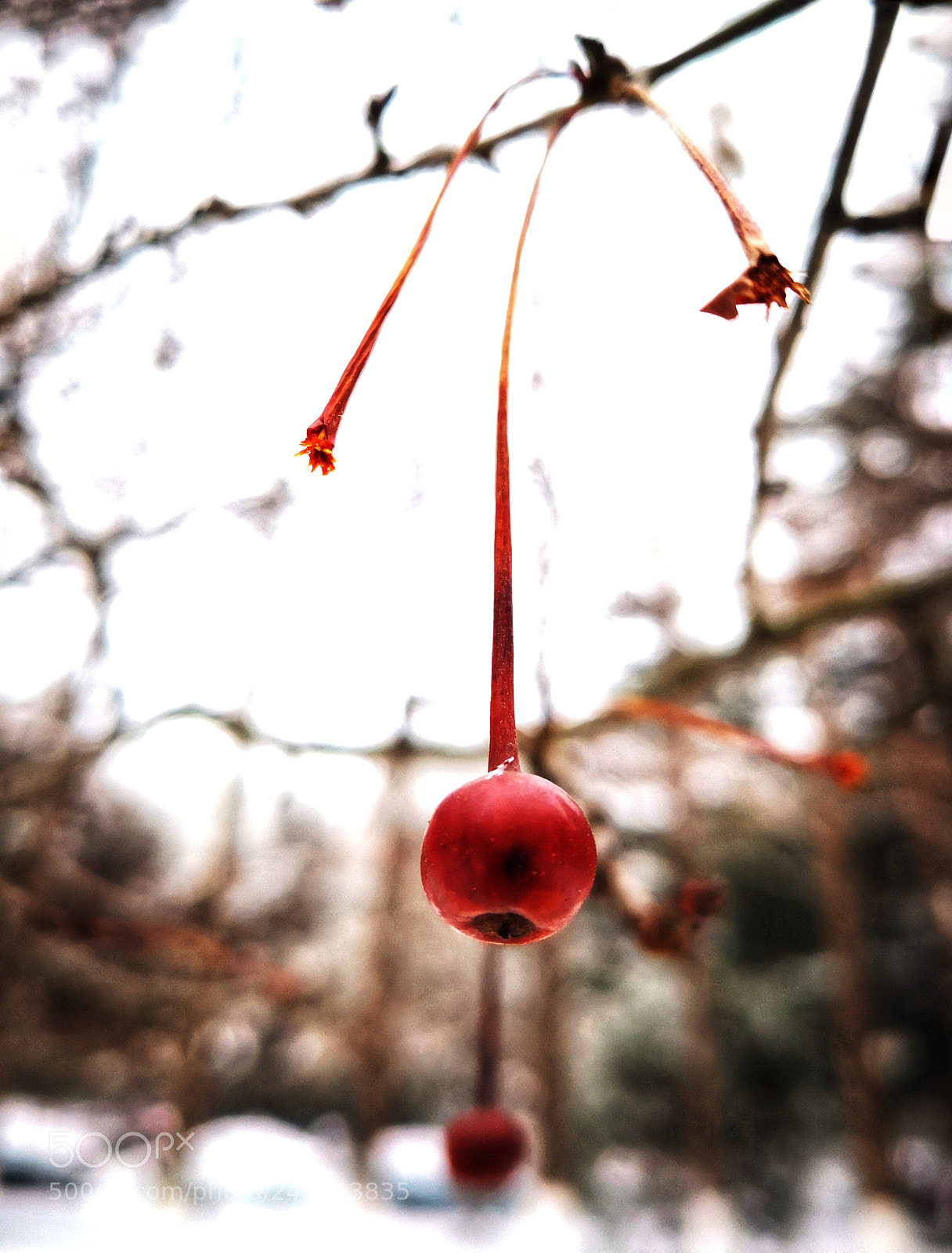 HUAWEI Mate 10 Pro sample photo. Untitled photography