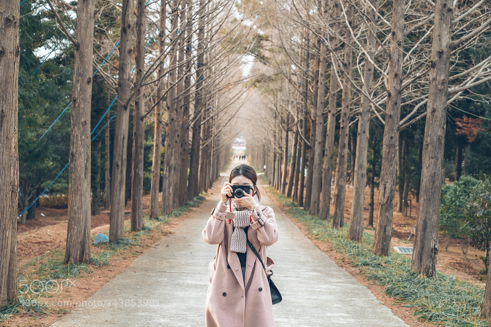 Sony a7R III sample photo. Untitled photography