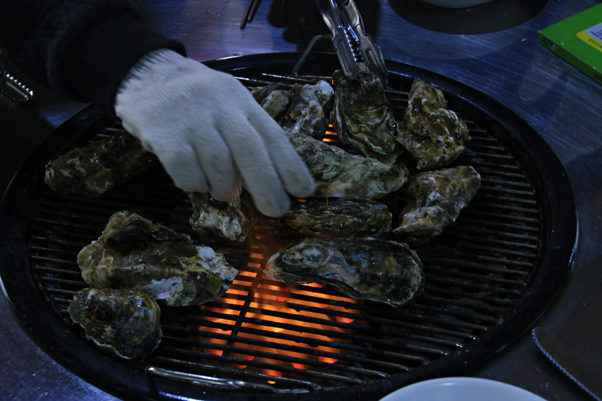 Canon EOS 750D (EOS Rebel T6i / EOS Kiss X8i) + Tamron 18-270mm F3.5-6.3 Di II VC PZD sample photo. Eating oysters photography