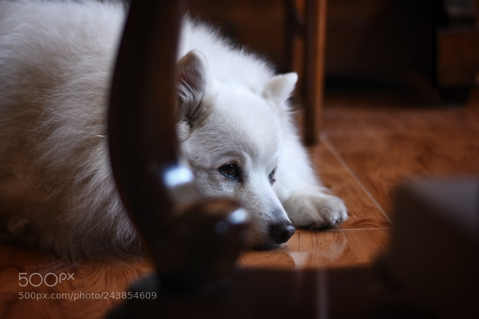 Nikon D7200 sample photo. Looking for... photography