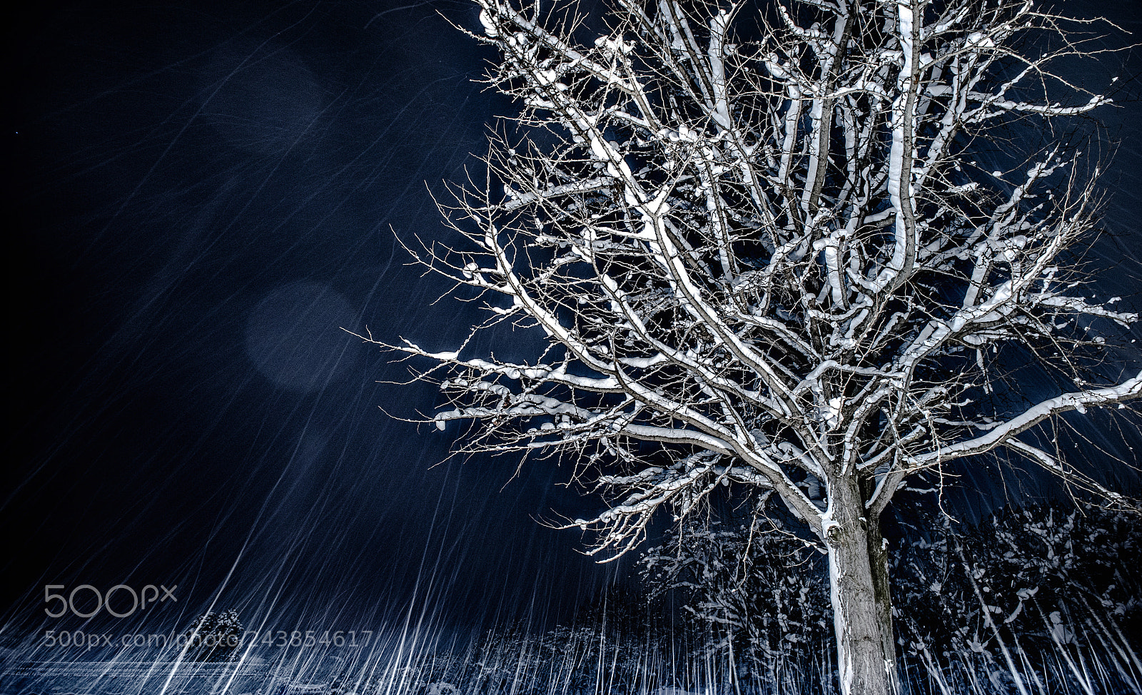 Nikon D3S sample photo. Snow dancing photography