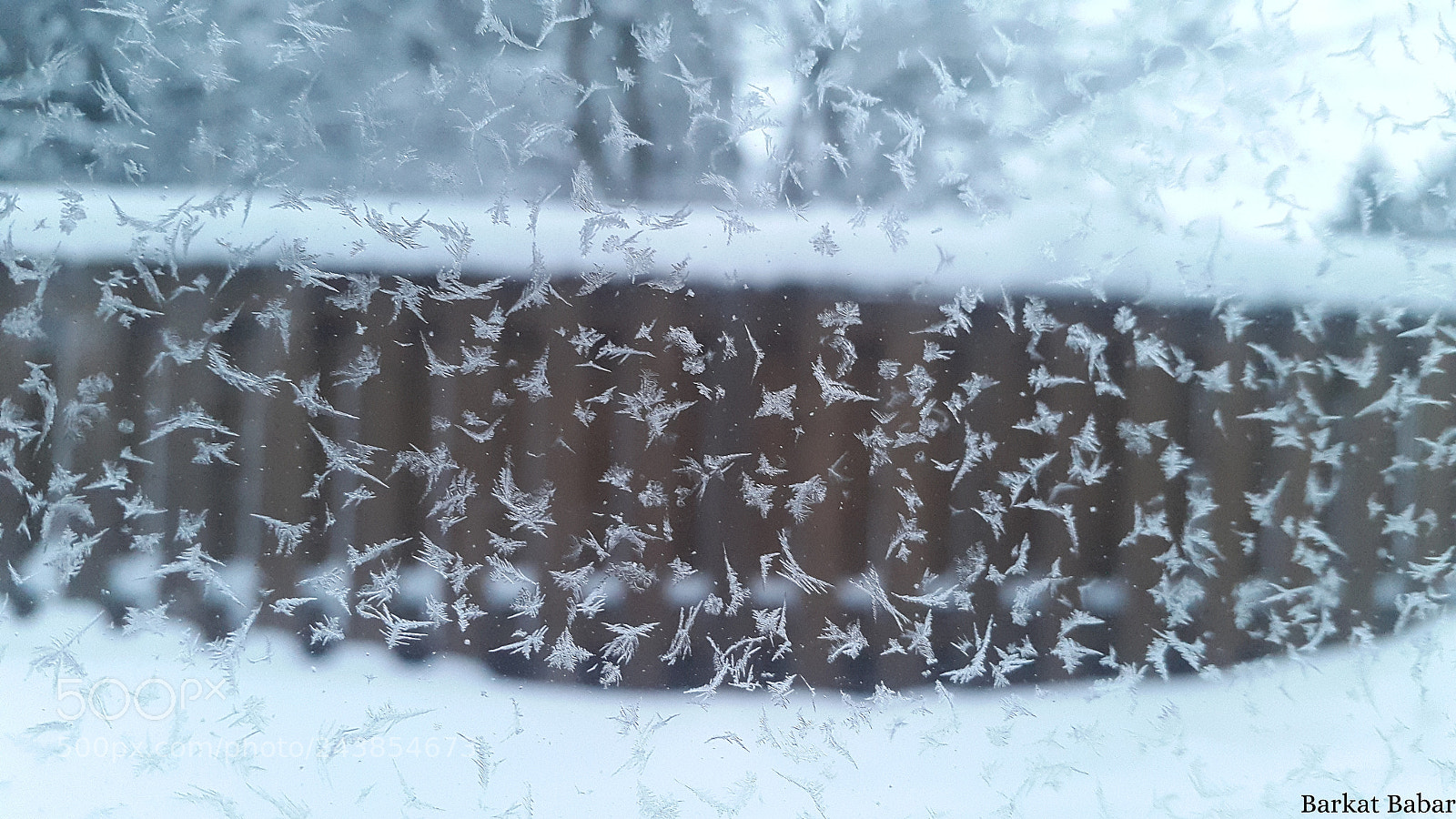 Samsung Galaxy S5 sample photo. My room window always photography