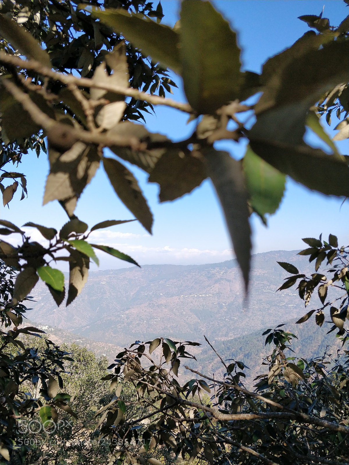 OnePlus 5T sample photo. Untitled photography