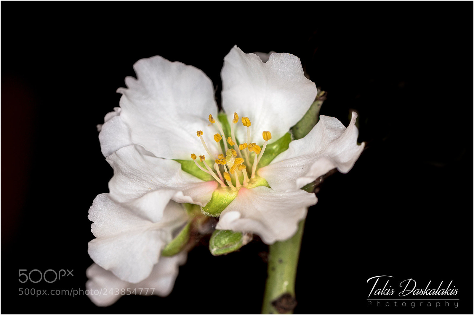 Nikon D500 sample photo. Dsc photography