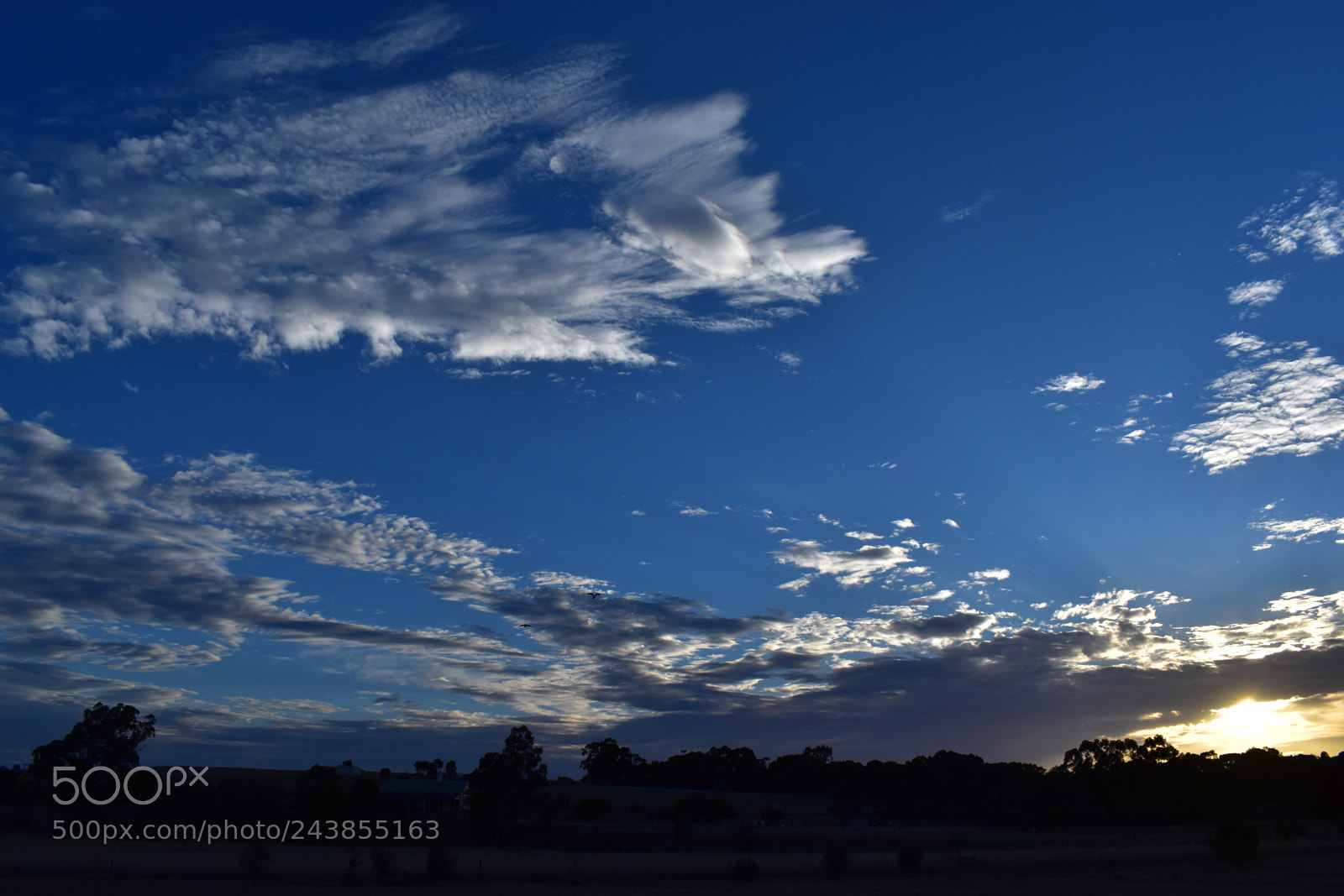 Nikon D5600 sample photo. Sunrise of 25 january 2018 photography