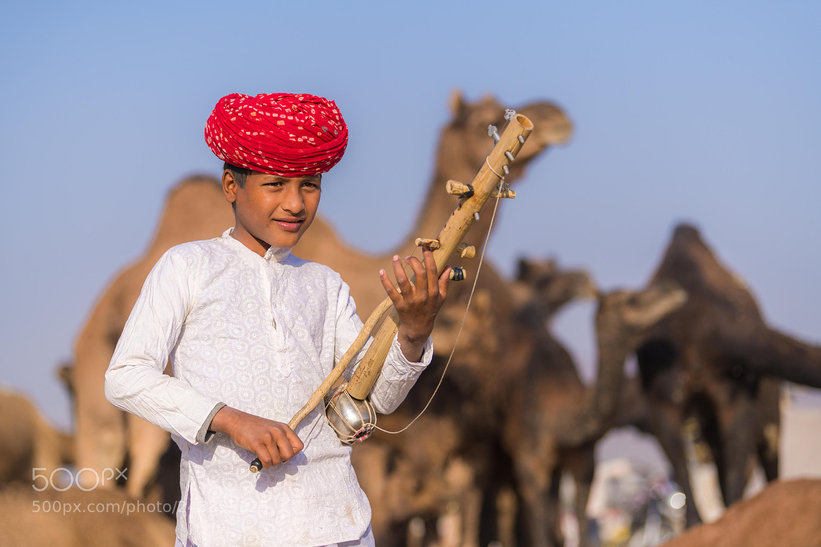 Nikon D850 sample photo. Little musician.jpg photography