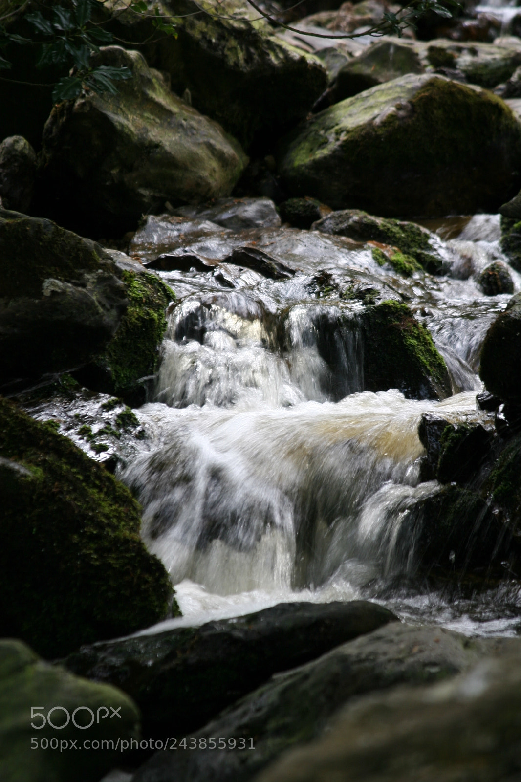 Canon EOS 20D sample photo. New photography
