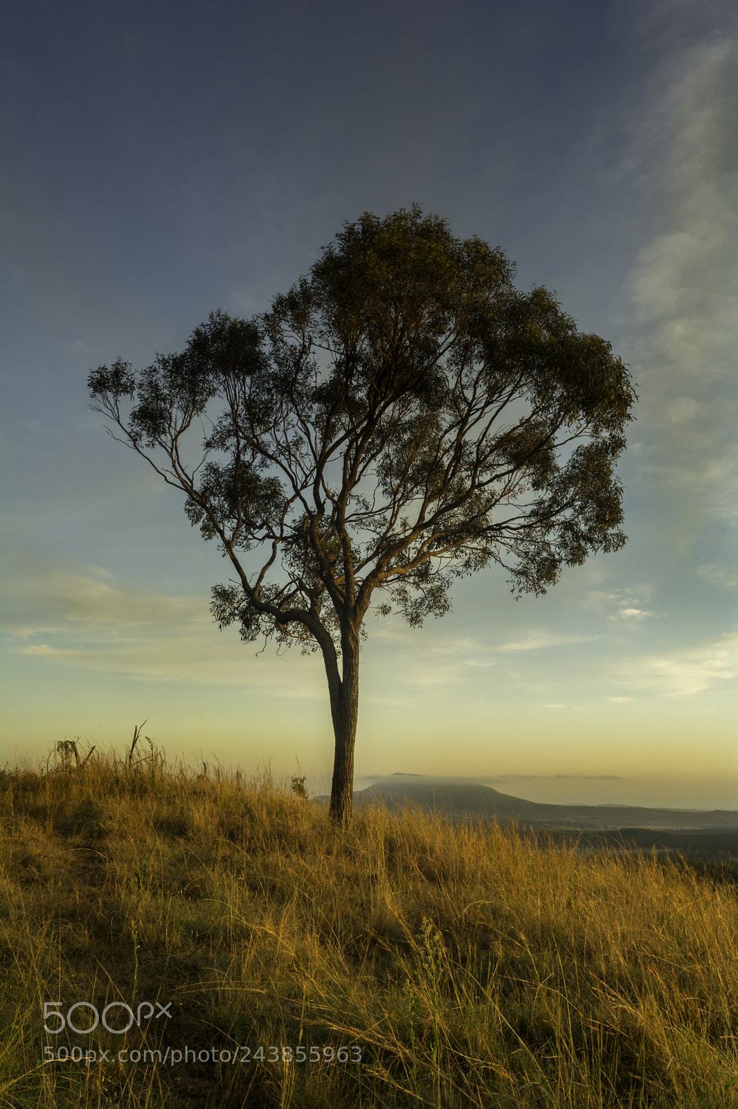 Nikon D7100 sample photo. Sunrise cunninghams gap photography