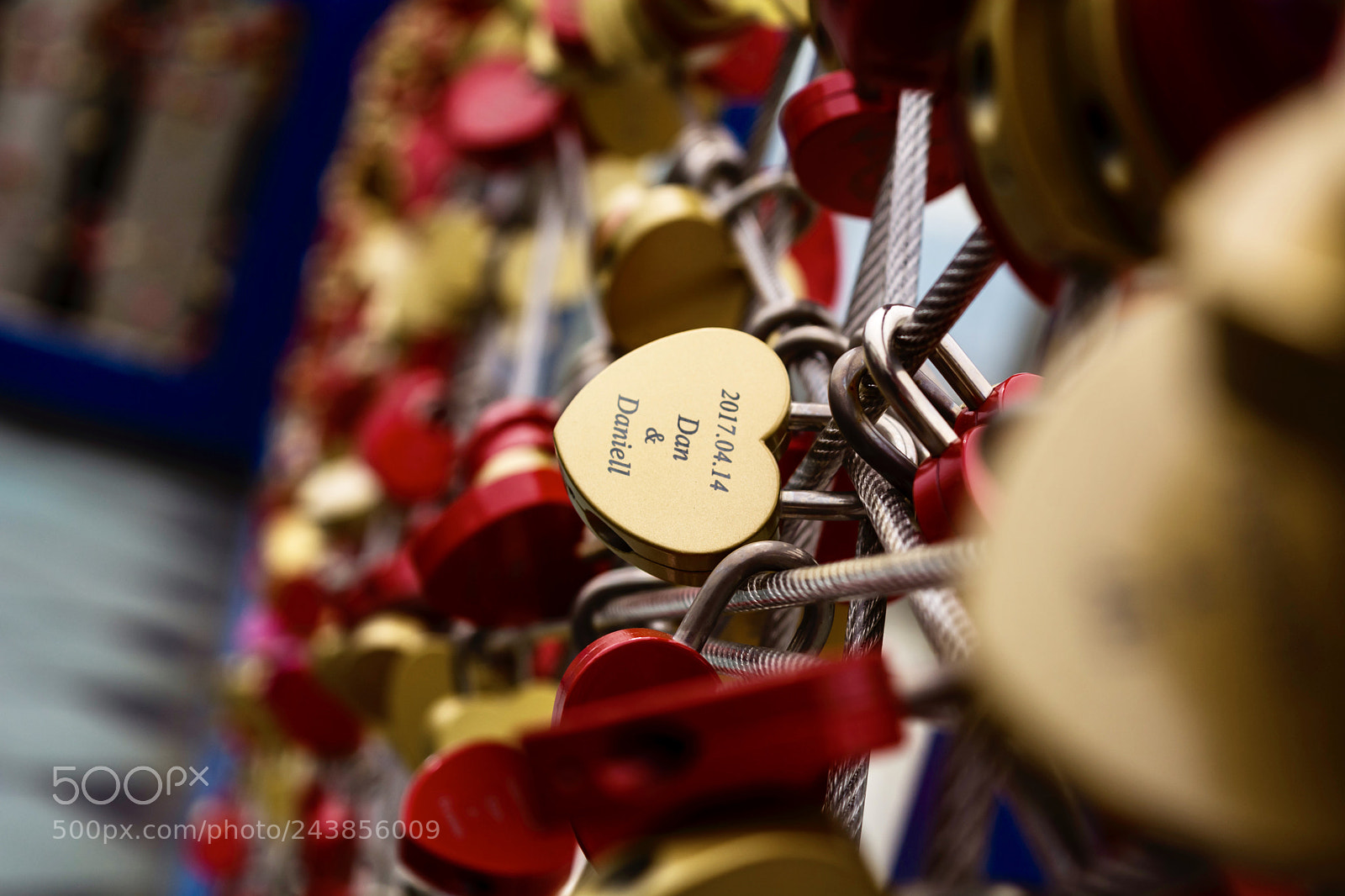 Nikon D7100 sample photo. Feeling loved.. photography