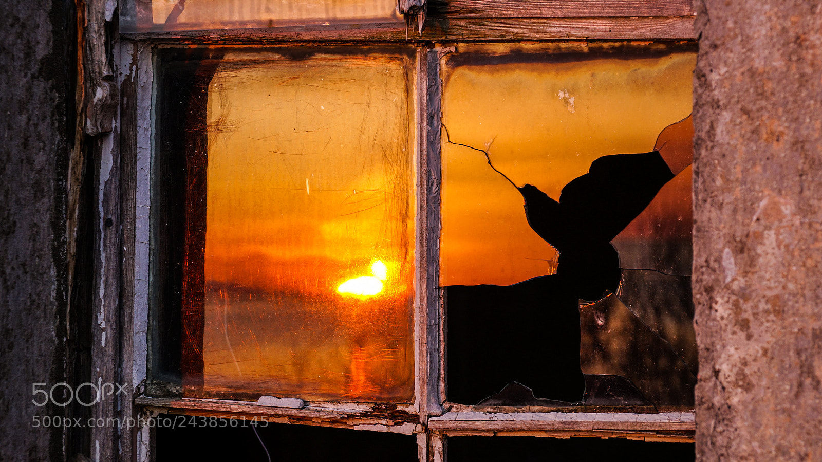 Sony SLT-A57 sample photo. Sunset reflected in broken photography