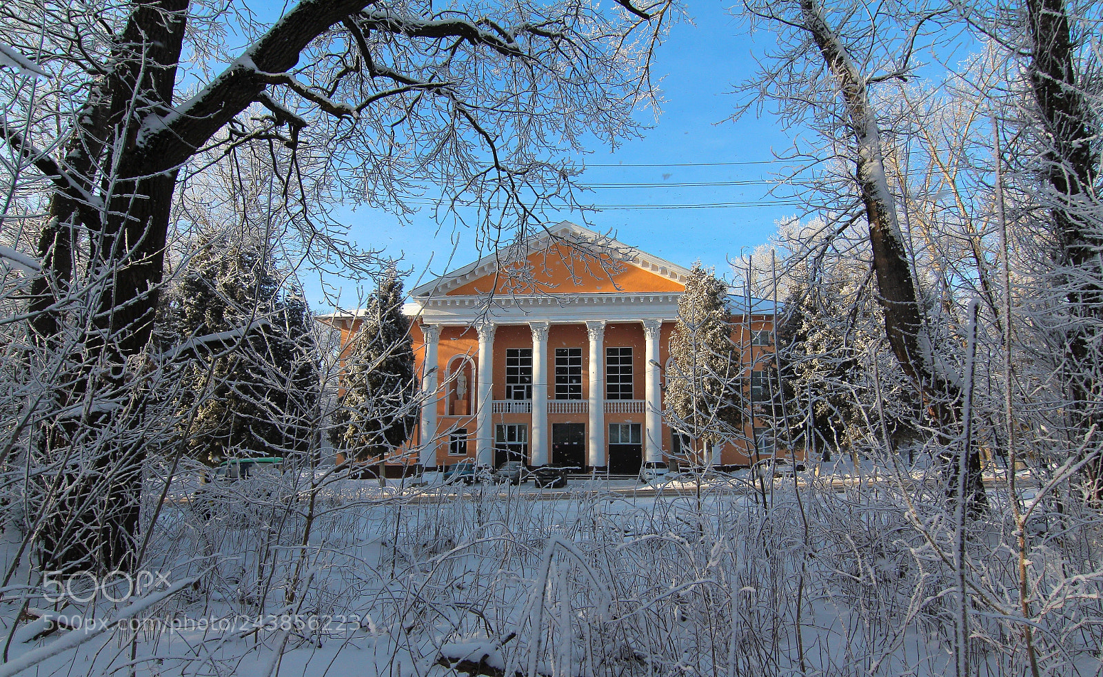 Canon EOS 60D sample photo. Winter photography