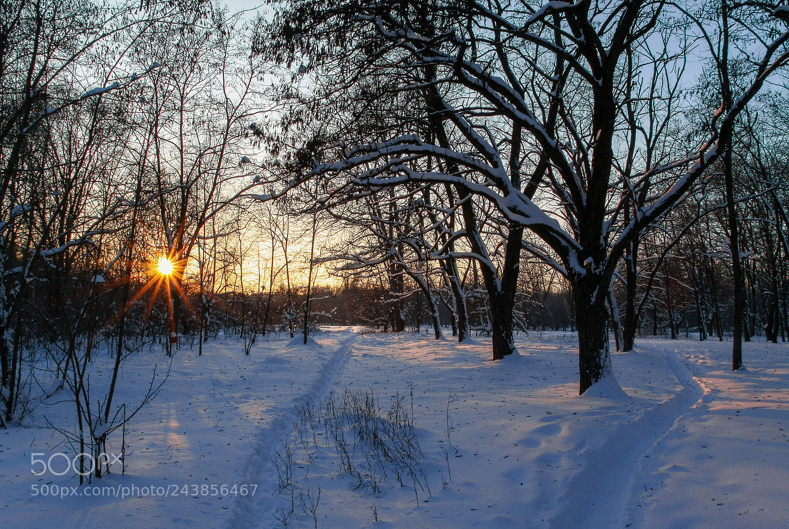 Canon EOS 50D sample photo. Зимний вечер photography