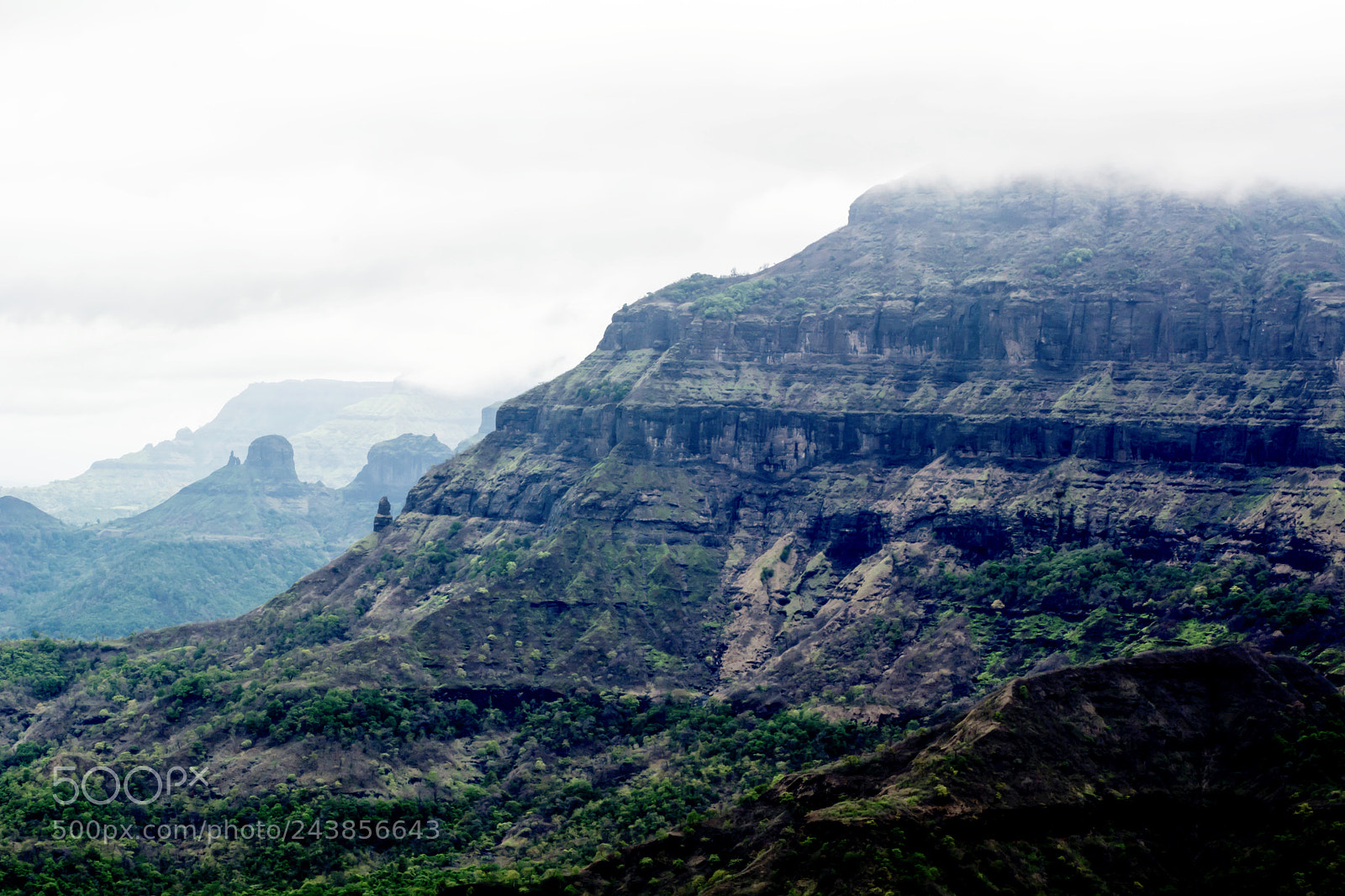 Nikon D7100 sample photo. Be among the nature photography
