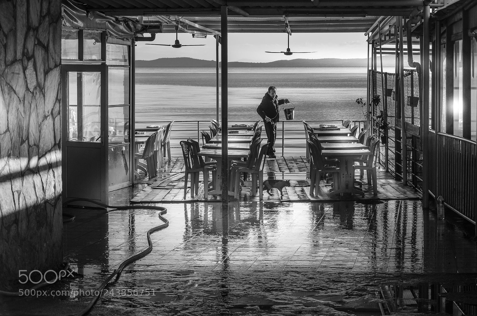Nikon D5100 sample photo. Fish restaurant at bal photography