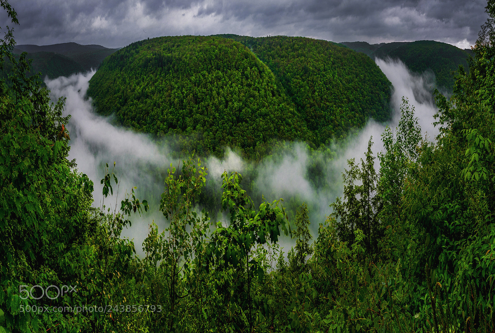 Nikon D5100 sample photo. Grand canyon of pennsylvania photography