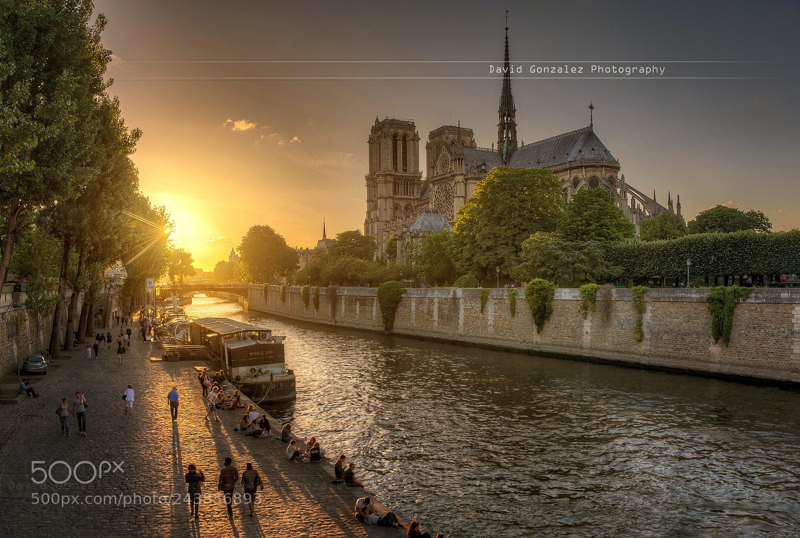 Nikon D700 sample photo. Sunset on notre dame photography
