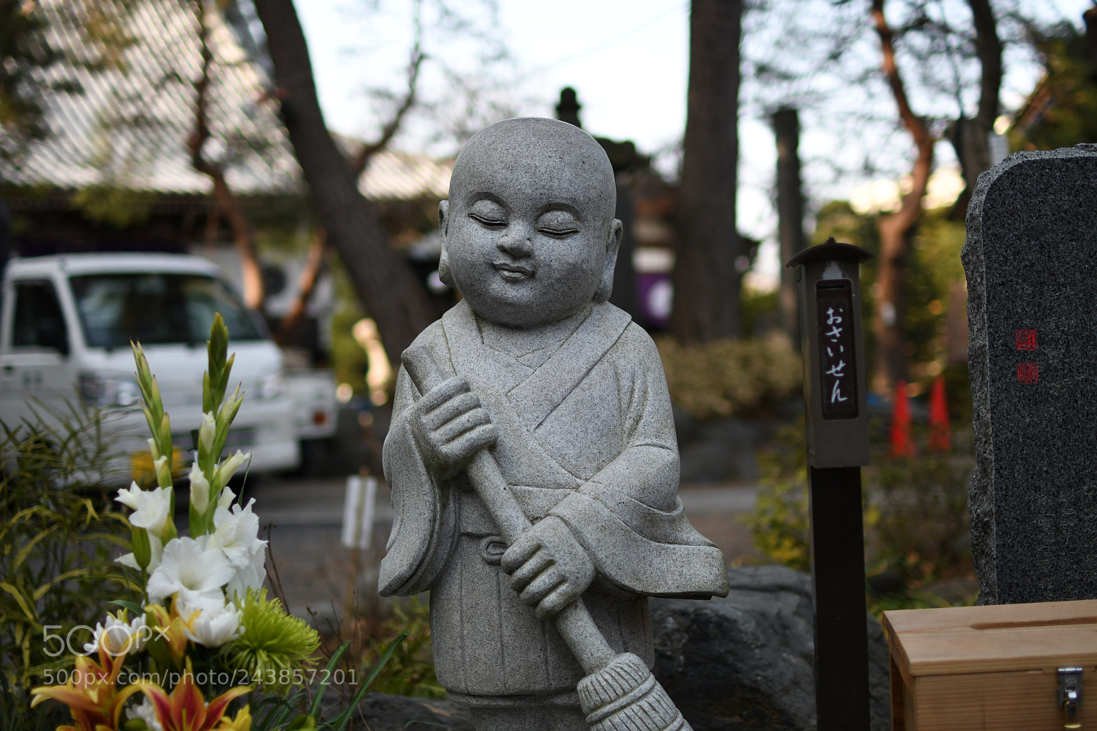 Nikon D500 sample photo. Jizo photography