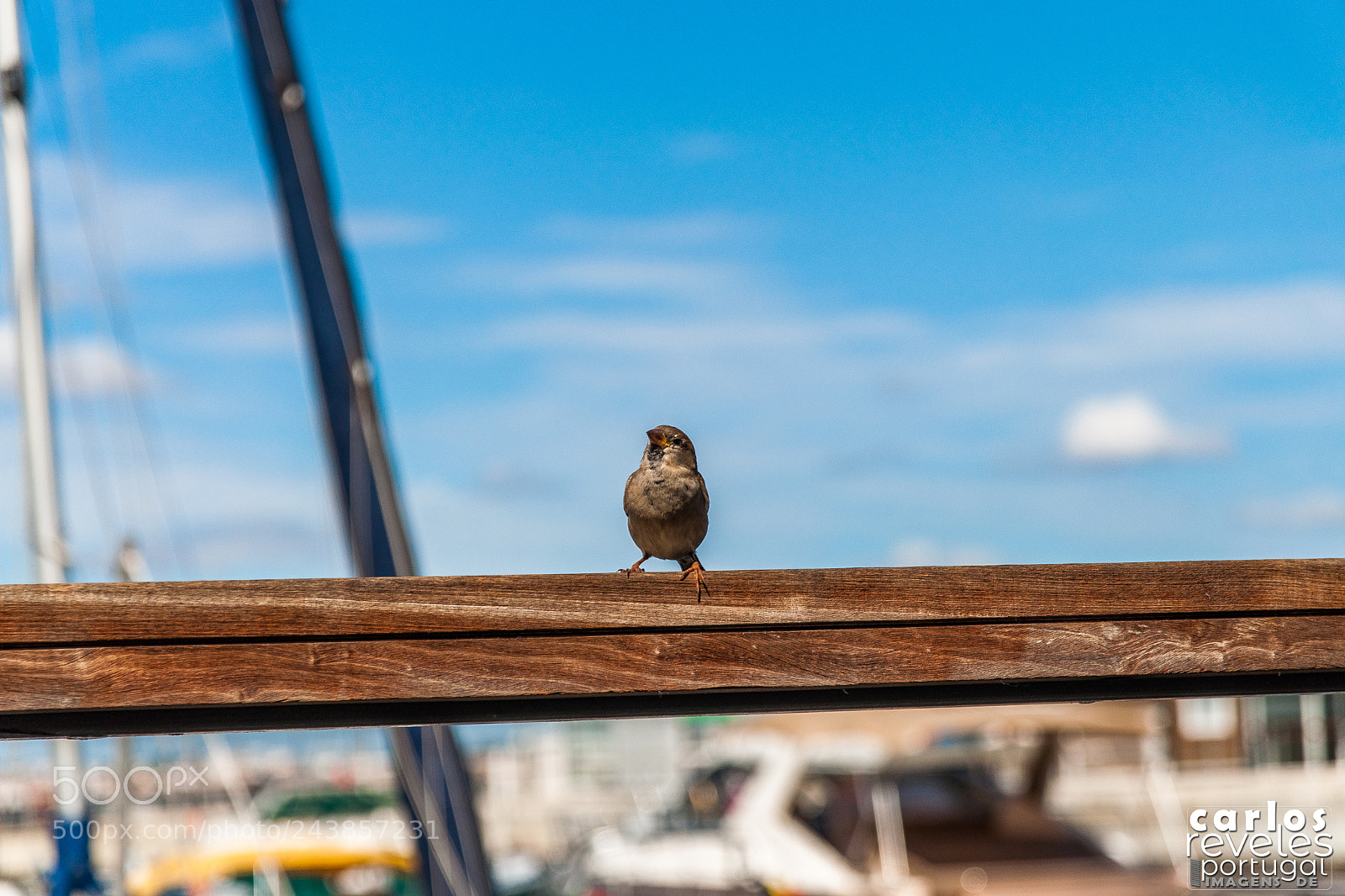 Nikon D5000 sample photo. Marina de tróia photography