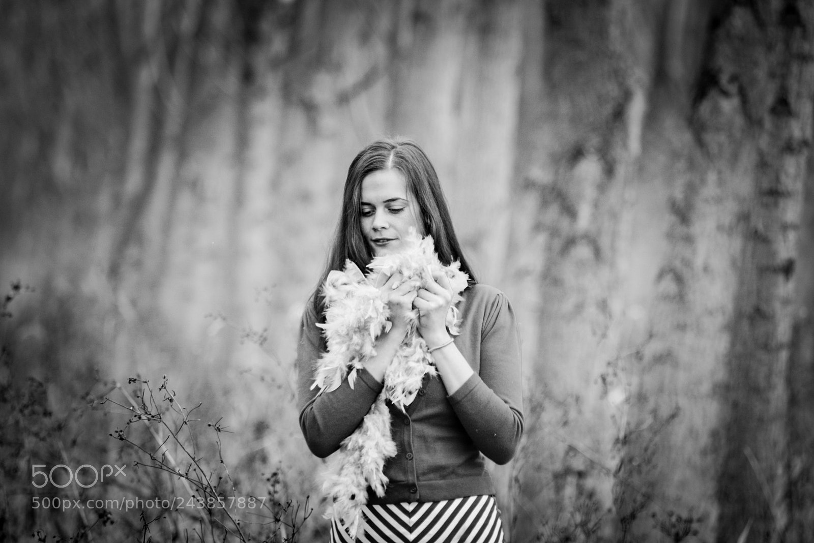 Nikon D7100 sample photo. Untitled photography