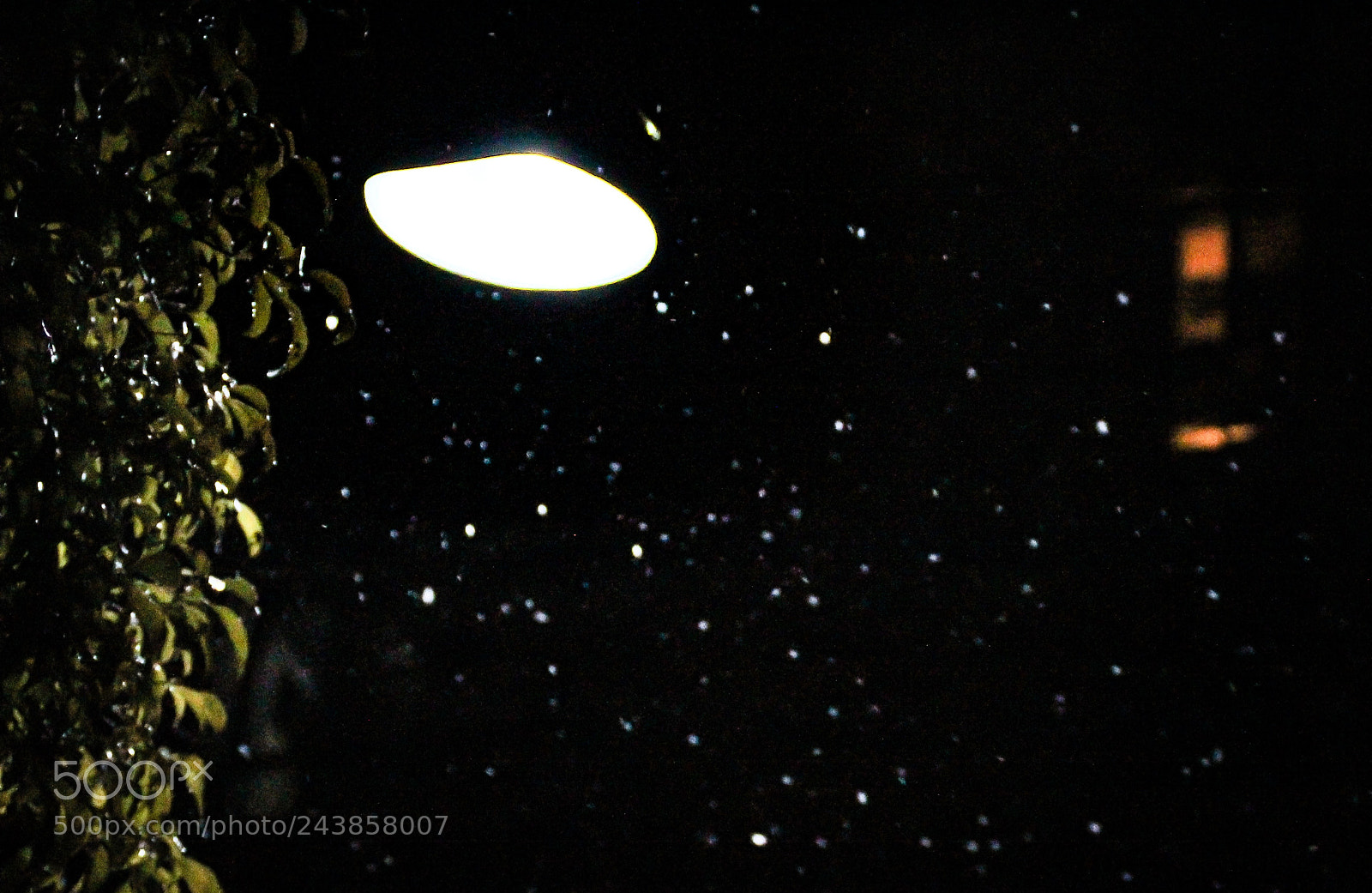 Canon EOS 600D (Rebel EOS T3i / EOS Kiss X5) sample photo. Let it snow shanghai photography