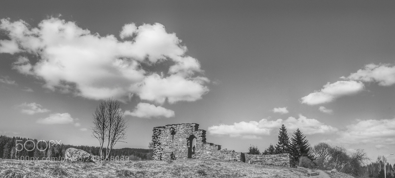 Sony SLT-A77 sample photo. Remains of a forgotten photography
