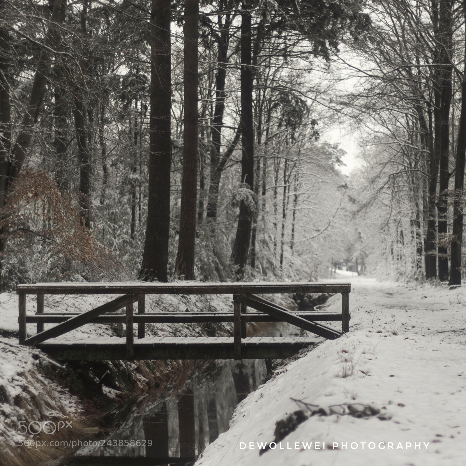 Canon EOS 7D Mark II sample photo. The little winter brigde photography
