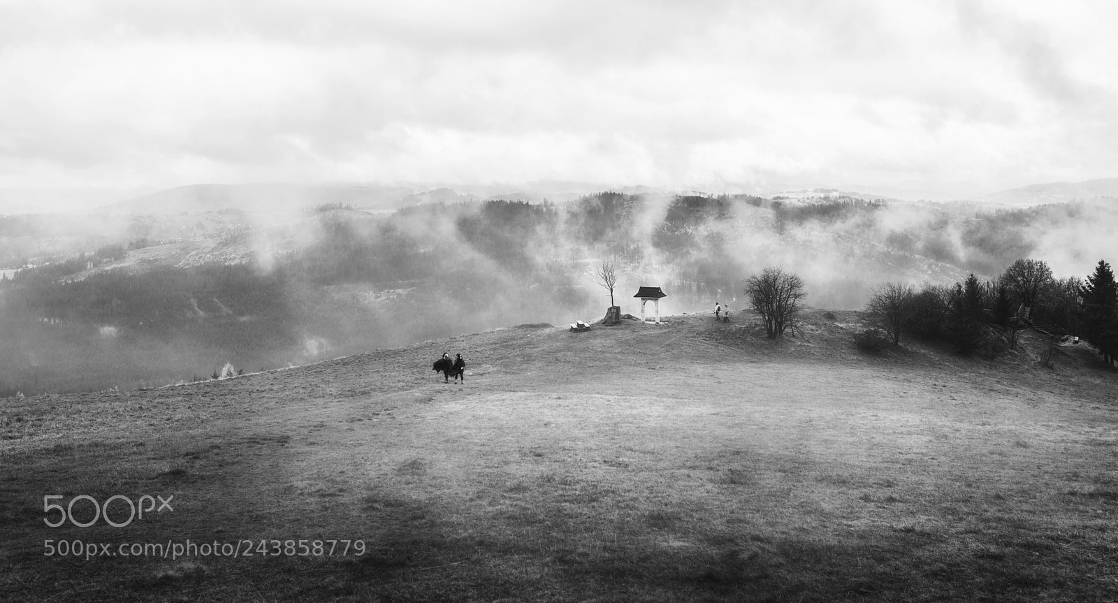 Nikon D7100 sample photo. Fog photography