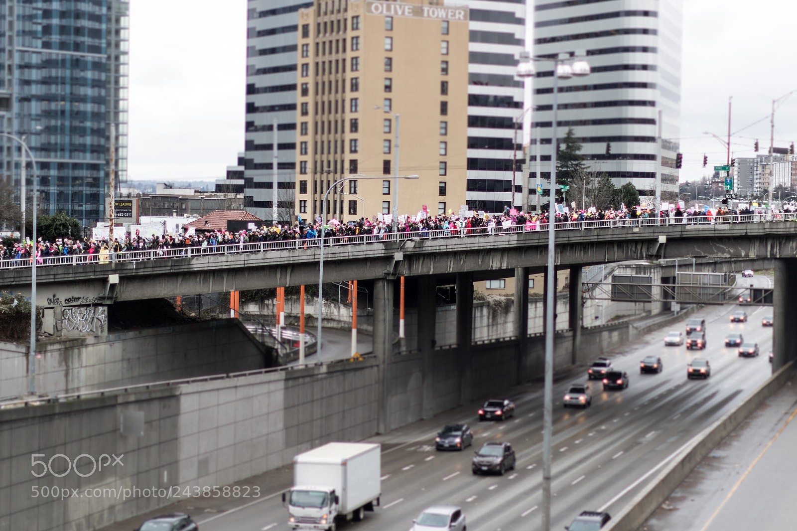 Canon EOS 7D Mark II sample photo. Kka photography