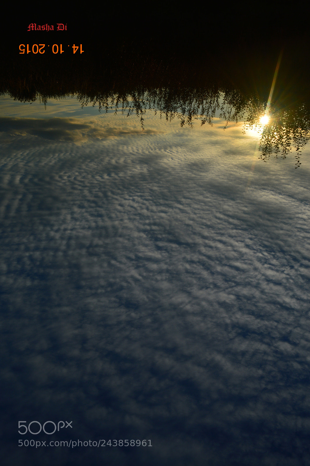 Nikon D3200 sample photo. вв photography