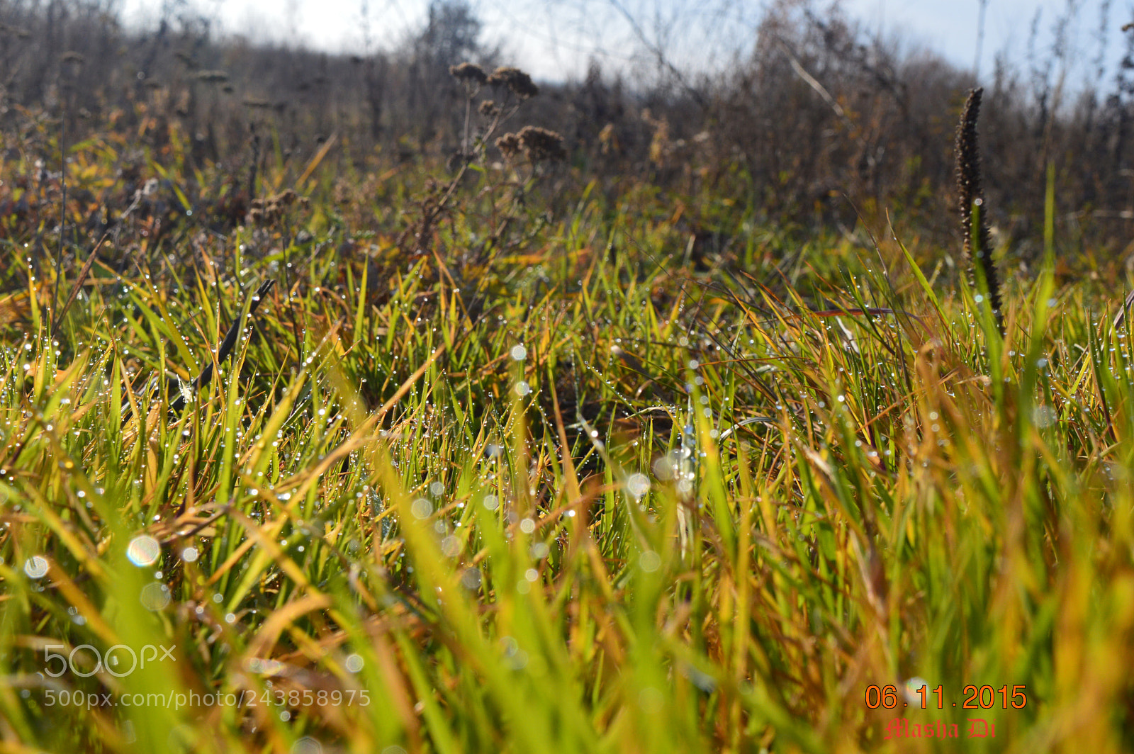 Nikon D3200 sample photo. прп photography
