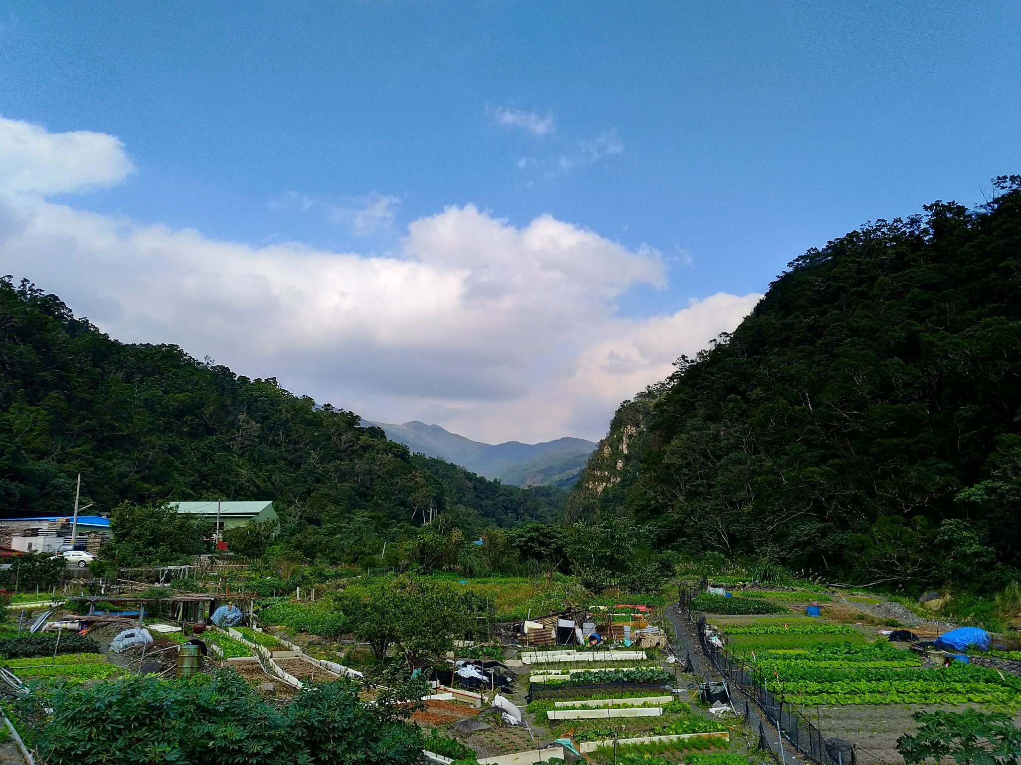 ASUS ZenFone 3 Zoom (ZE553KL) sample photo. P_20180112_132708_vhdr_auto photography