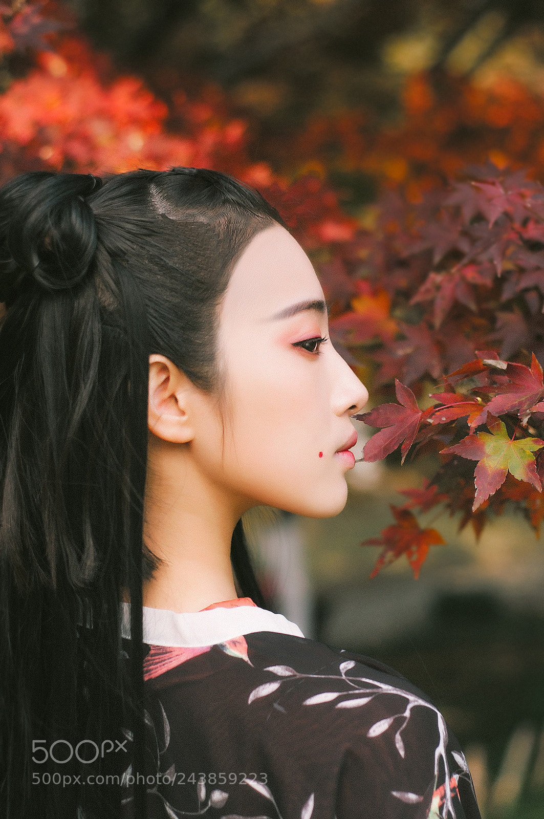 Nikon D90 sample photo. 枫叶 photography