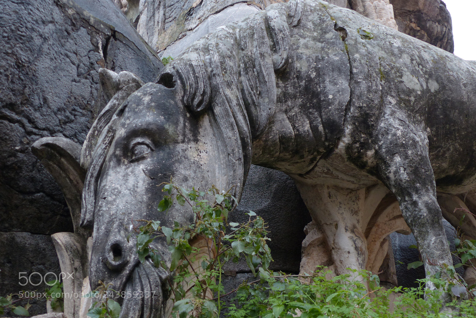 Panasonic Lumix DMC-FZ200 sample photo. Stone horse photography