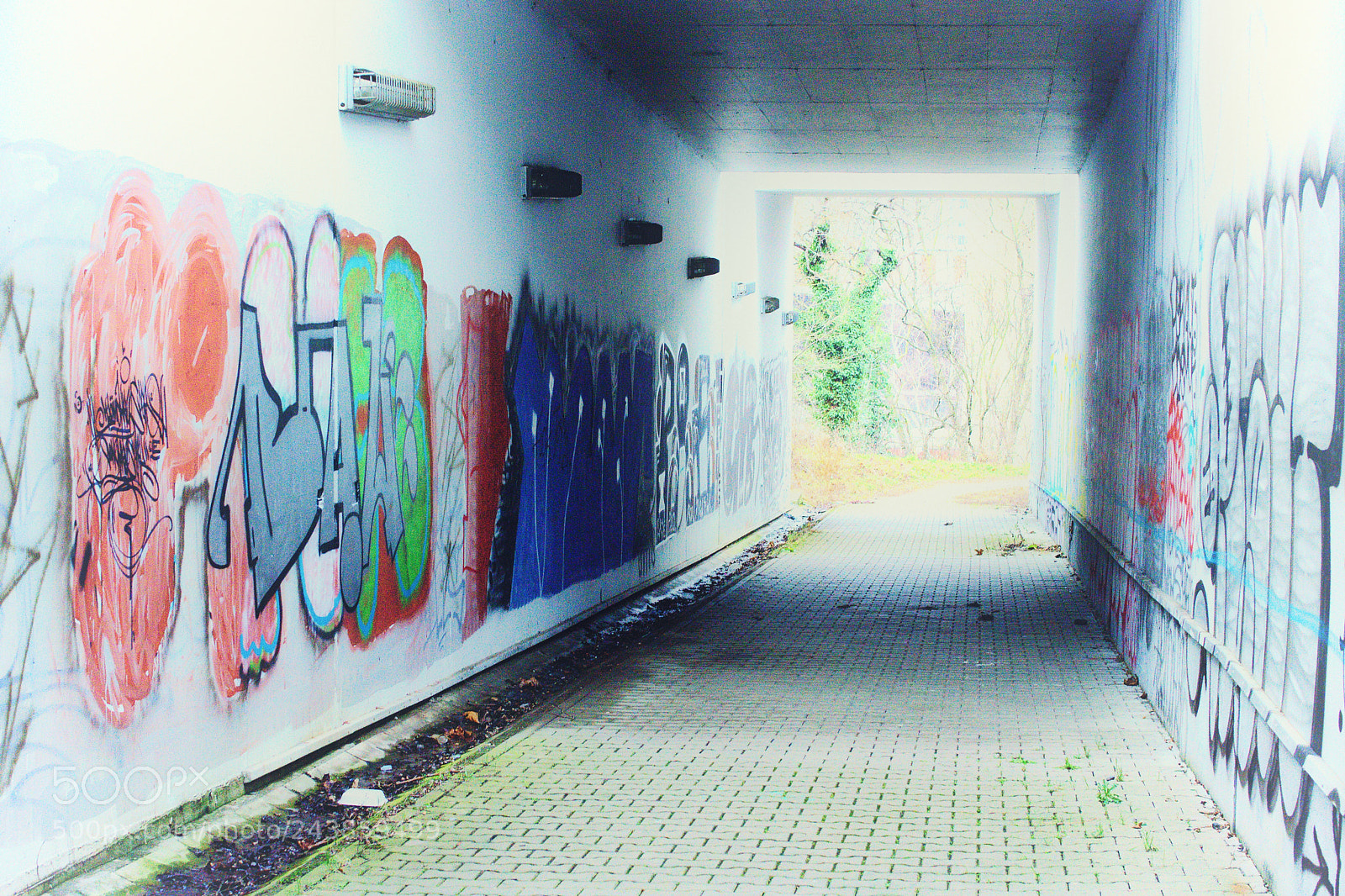 Nikon D7200 sample photo. The way to the photography