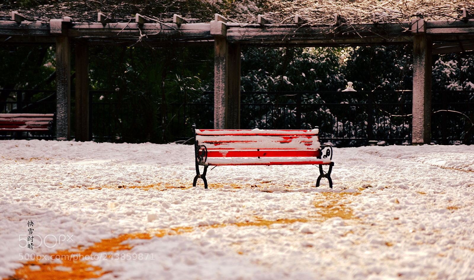 Nikon D810 sample photo. After snow photography
