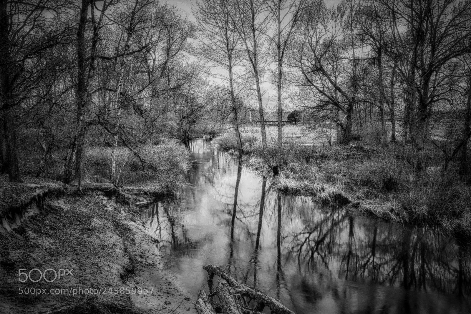 Sony Cyber-shot DSC-RX100 III sample photo. Lutterzand b&w photography