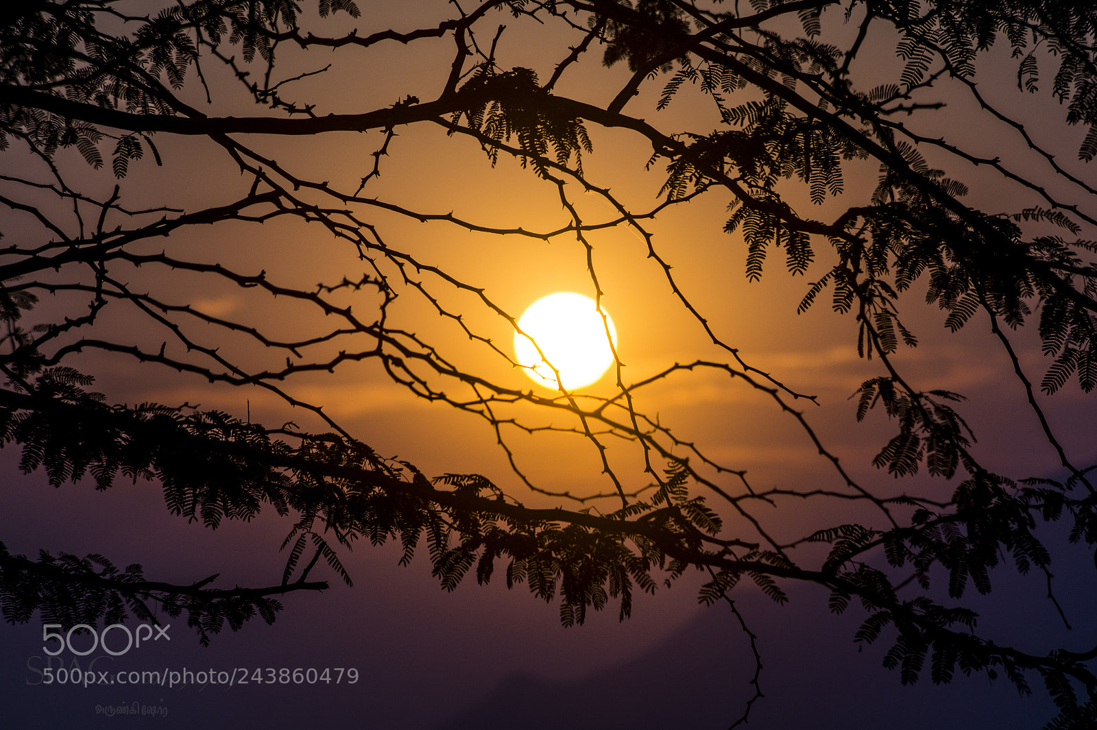 Sony SLT-A58 sample photo. Sun set photography