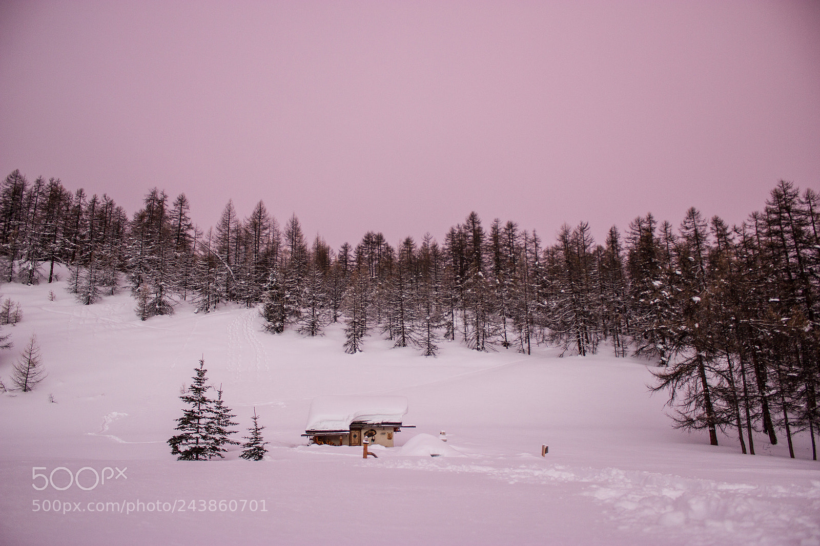 Canon EOS 550D (EOS Rebel T2i / EOS Kiss X4) sample photo. Pink sky photography
