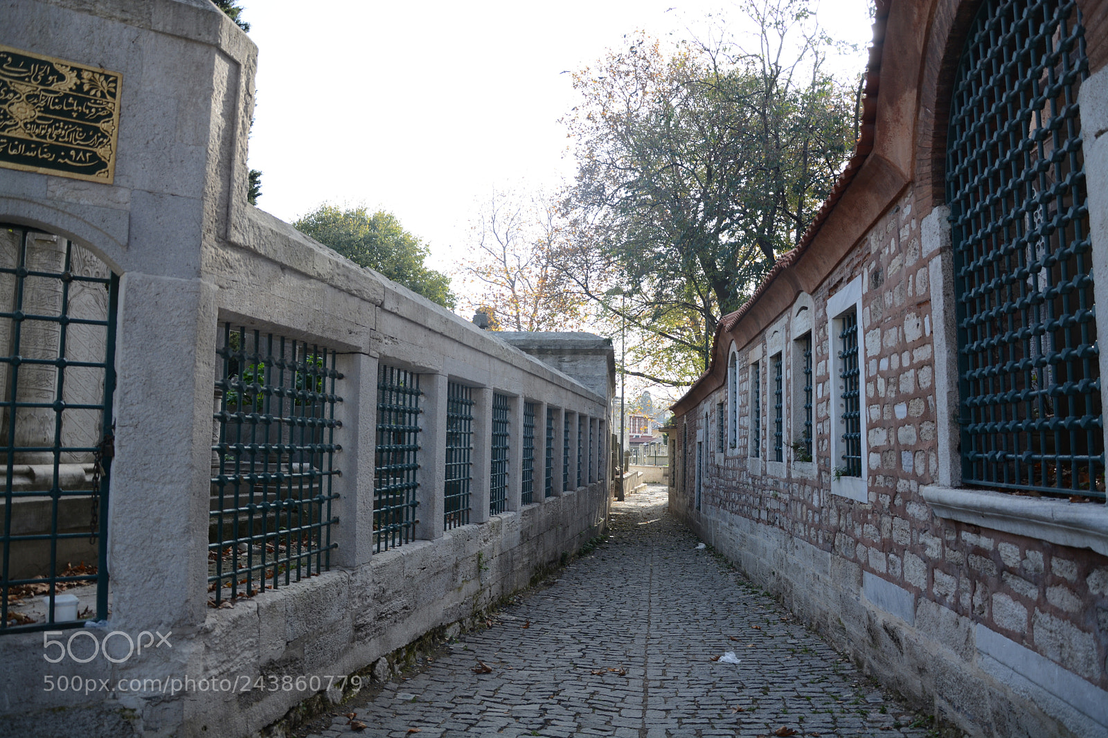 Nikon D7100 sample photo. Yollar... photography