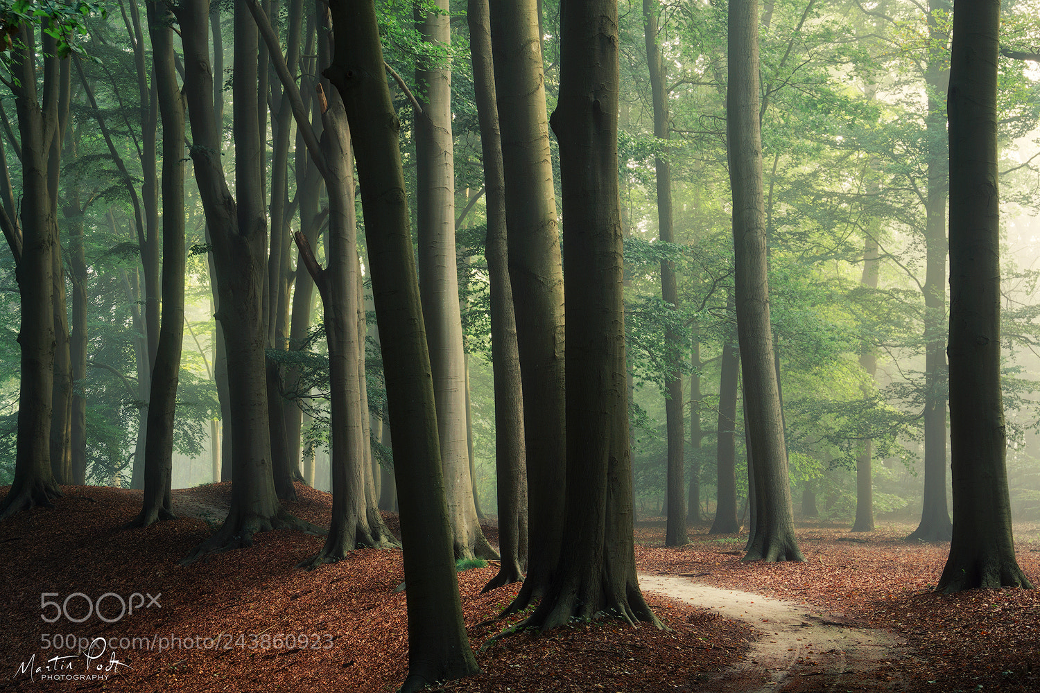 Sony a5100 sample photo. In the curve photography