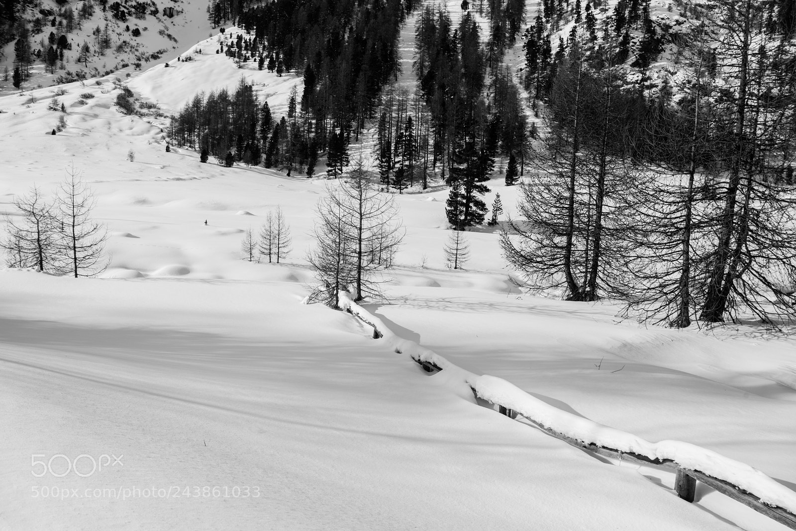 Nikon D800 sample photo. Winter landscape photography