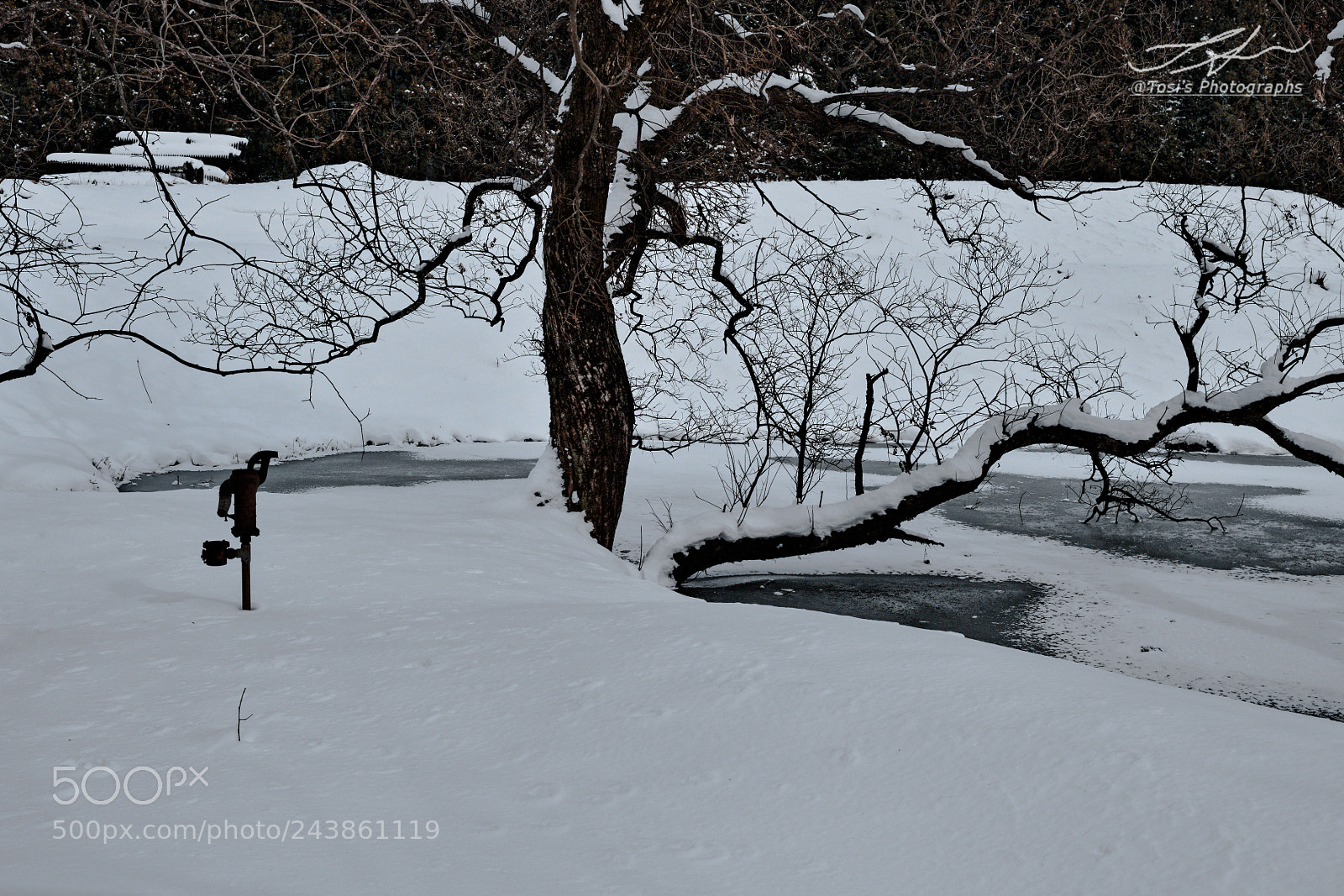 Nikon D850 sample photo. Water pumping pump photography