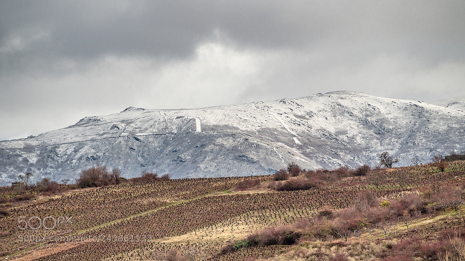Olympus OM-D E-M5 II sample photo. Vi a de invierno photography