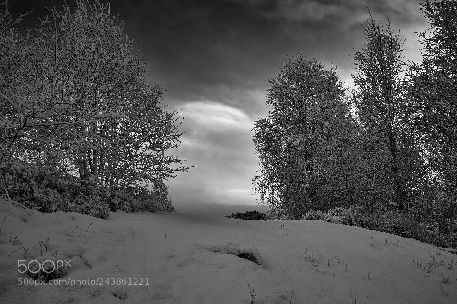 Sony a7 sample photo. Snowy afternoon photography
